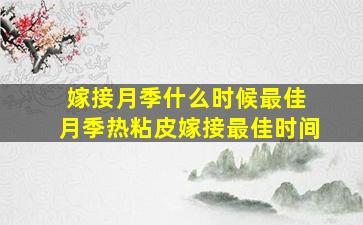 嫁接月季什么时候最佳 月季热粘皮嫁接最佳时间